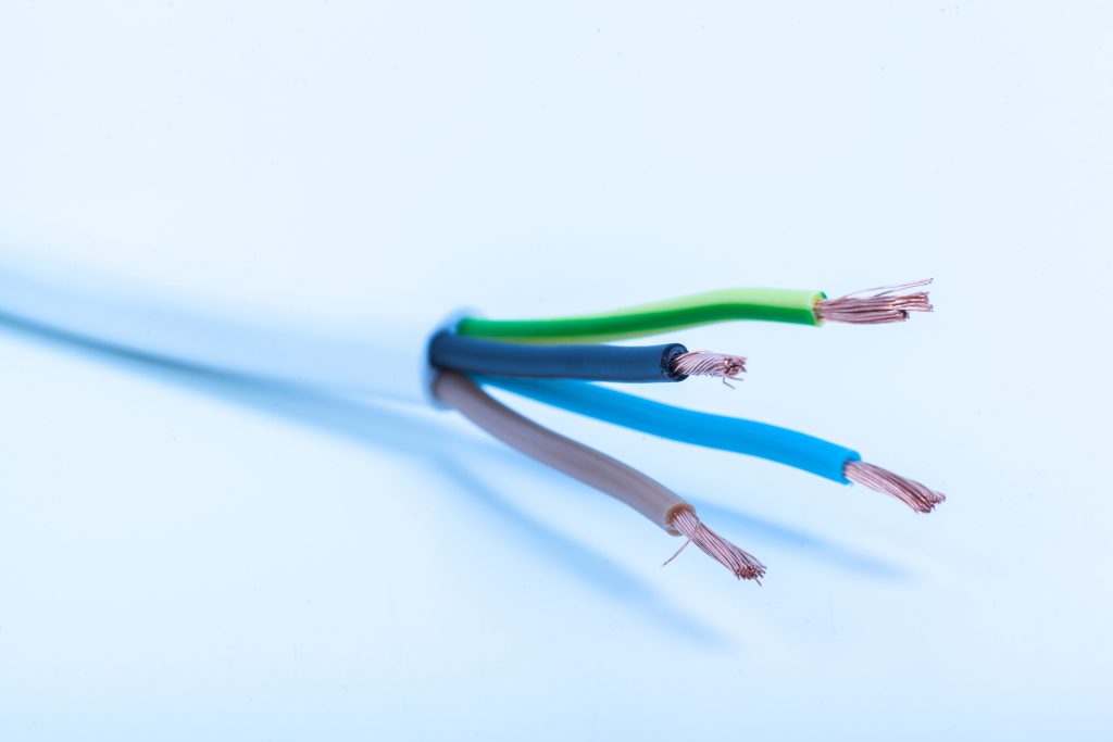 cable rongé par des rats ou souris cable ronge par des rats ou souris